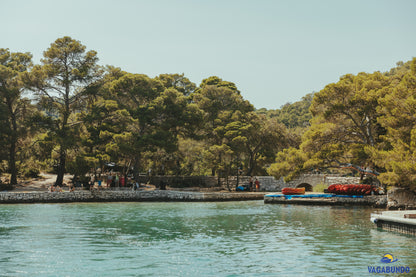 Mljet Tour Full Day  Exclusive