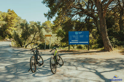 Mljet Tour Full Day  Exclusive